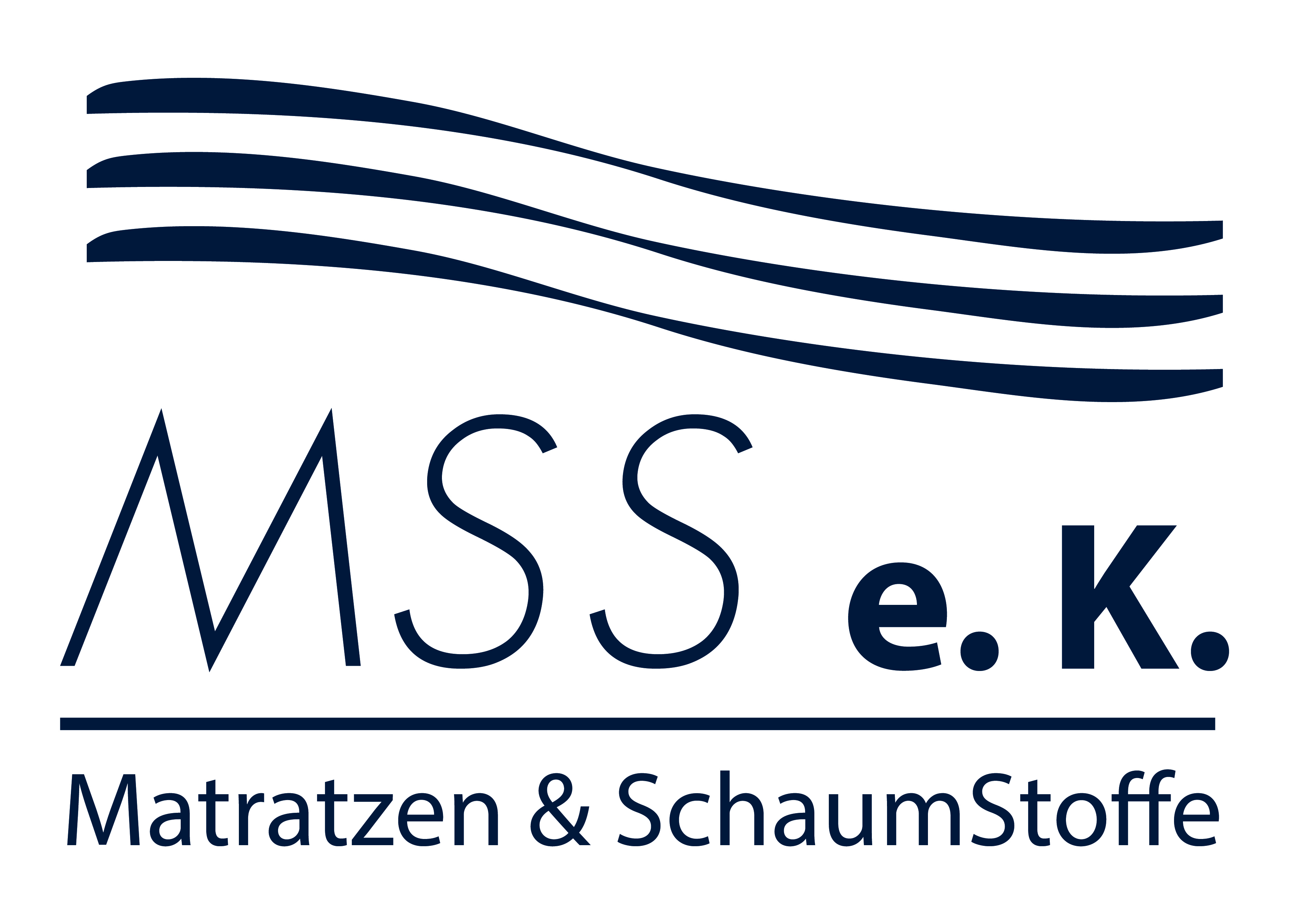 Logo der Firma MSS e.K.